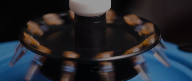 Genellikle üç ila dört ay.